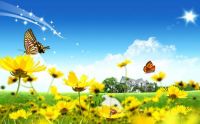 Beautiful Spring Scene