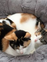 Mother and daughter