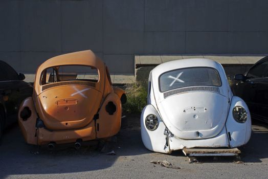 Two Old Beetle