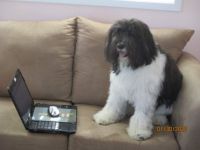 You've got mail