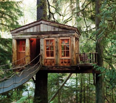 Cool treehouse!