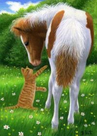 Kitten and foal.
