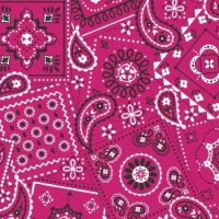 Pink Paisley