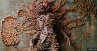 Cordyceps and dead stalker The Last Of Us