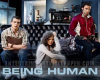 Shows to Watch: Being Human UK