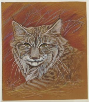 Bobcat Art by Mildred King