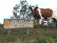 per gynt brurbenken