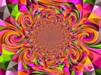 Wild Kaleidoscope - Petite