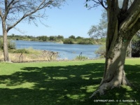 ZAMBIA - The Zambezi River – View from the hotel