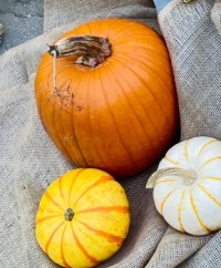 Pumpkins