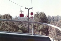 Aerial tramway - San Diego Zoo (0825)
