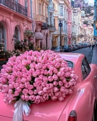 Vintage Car (1,769)