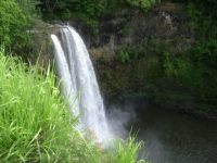 Hawaiian Waterfall