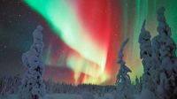 Come to Lapland to see