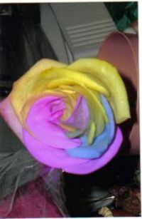 Beautiful!!