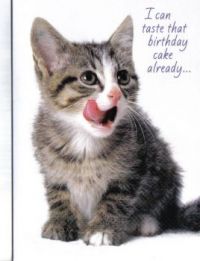 Kitty card 1