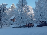The first snow