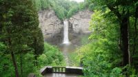 Pretty water falls