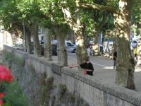 A1_Collobrières  FRANCE