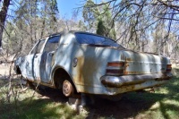 Holden Kingswood