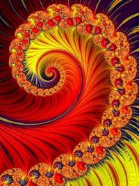 fractal feather