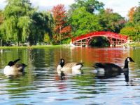 Elm Park, established as a public park in 1854, Worcester, Massachusetts.