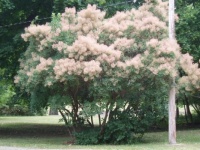P1016771
