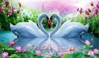 diamond-painting-love-swans-...