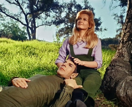 Solve SPOCK AND LEILA KALOMI jigsaw puzzle online with 30 pieces