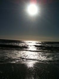 California Beach