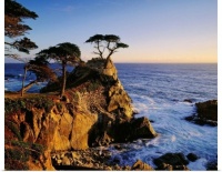 Carmel Coast Near Monterey Bay, California, United States by Giovanni Simeone