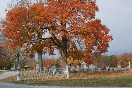 Fall ~ Southern Illinois