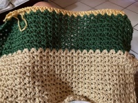 Started this crochet V stitch throw