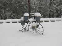 Snow...