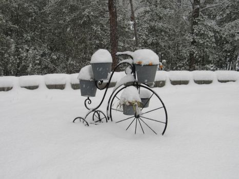 Snow...