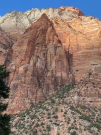Zion 4