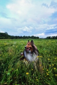 Chase Smiles in Hayfield