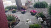 Spring is here