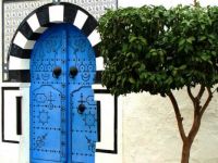 Tunisian door