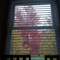 Fall - 5