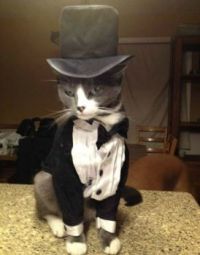 Sir Jess