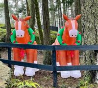 Bonnie and Clyde - Christmas Horses (that I spied on my walk today)