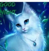 Goodnight kitty cat lovers!!