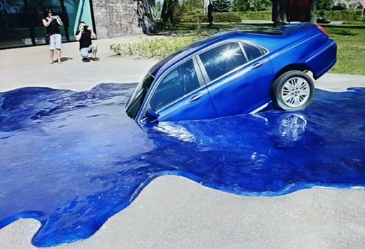 Solve LEFT OUT IN THE ARIZONA SUN TOO LONG! jigsaw puzzle online with ...