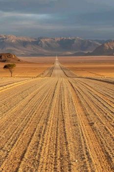 Road through the Namib