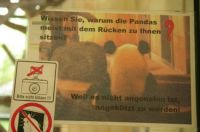 nicht blitzen