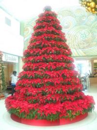 DSCF0160
