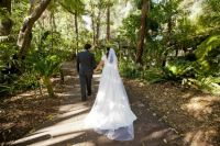 Bridal veil