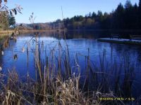 Took this pic yesterday at the Lake, ther is no way the water would be frozen in May.