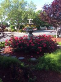 Fountain